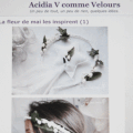 &quot;Acidia V comme velours&quot;, un joli blog,