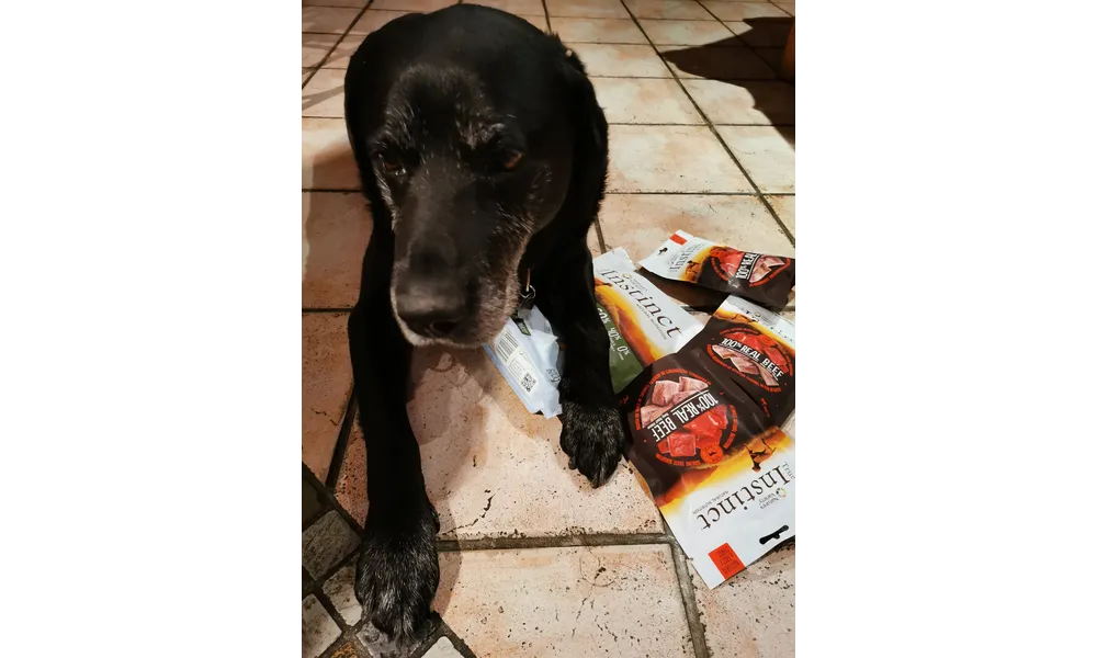 Mon test #AlimentationNaturelleTI #TrueInstinctFR via le site #TRND : croquettes et friandises pour mon chien !!!