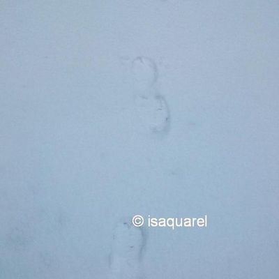 la neige est arrivée...