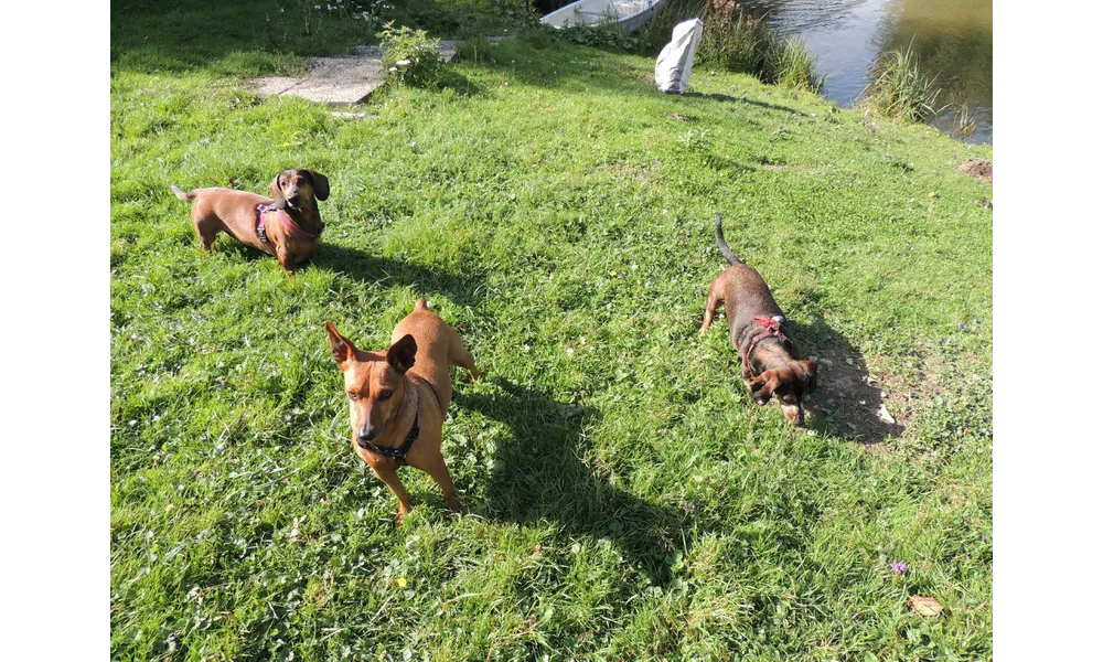 Margot au bord de l'eau ...