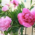 Deux bouquets de pivoines.... comme promis