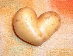 Les patates aussi ont du coeur.