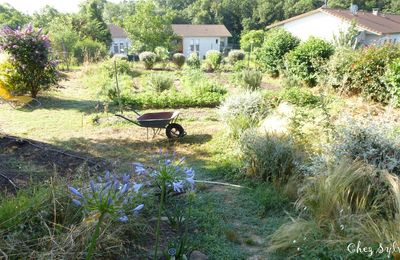 Doucement le potager prend forme