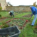 13 11 12 Le jardin se prépare à accueillir les buis