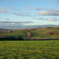 UN PETIT TOUR MATINAL DANS LA CAMPAGNE ISEROISE...