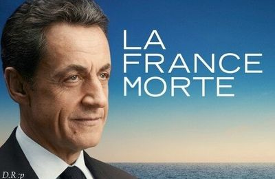 Nicolas Sarkozy et l’Euro: chronique d’un aveuglement