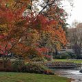 LE JARDIN DE VILLE A L'AUTOMNE...