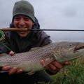 La belle du notaire (fario de 39 cm) en sèche sur un sedge imitatif sur le Crembreux et deux truites de mer de 63 cm pour 2,6 kg