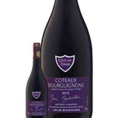 Le Bourgogne Passe-tout-grains et les Coteaux Bourguignons. Pas cru, pas bu. Au 19ème siècle.