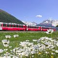 - LE BERNINA EN SUISSE -