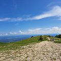 24 au 30 mai : Les Alpes de Haute Provence et le Mercantour