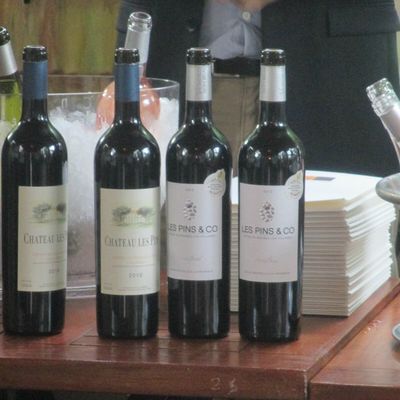 COMPTE RENDU SOIREE DEGUSTATION DES VINS DU LANGUEDOC 03/06/14