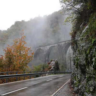 le train des feuillages