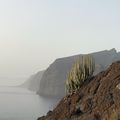 Tenerife. Histoire de changer d'air !