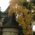 Le spleen de Berne - photographies, impressions d'arrière automne