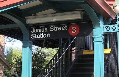 Tourisme. Aujourd'hui, Brooklyn (New York)