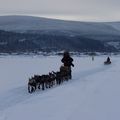 Yukon Quest 2011