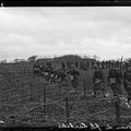 Exposition « Jours de Guerre 1914-1918, 120 Photographies du journal Excelsior »