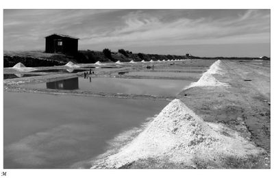 ile de ré 2010