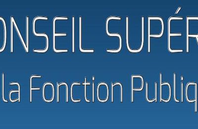 Réforme de la haute fonction publique territoriale, Simplifications pour la FPT: rentrée chargée pour le CSFPT