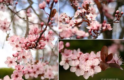 Le printemps, ma saison fantasmée