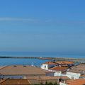 les couleurs de la Camargue