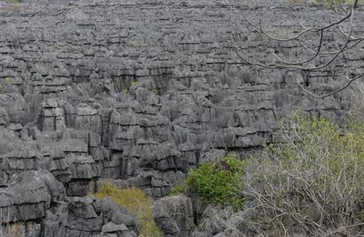 Madagascar - Ankarana Est - ponts suspendus et toits des Tsingy