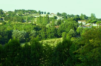 NOUVELLE SEMAINE... NOUVELLE PHOTO...