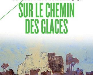 LIVRE : Sur le Chemin des Glaces (Vom Gehen im Eis) de Werner Herzog - 1978