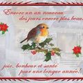 BONNE ANNEE 2014 