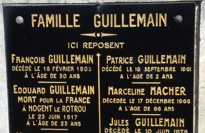 GUILLEMAIN Edouard (Saint Aout) + 23/06/1917 Nogent le Rotrou (28)