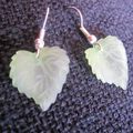 B.O. petites feuilles vertes