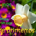 TRES BON MARDI ! TRES BONNE JOURNEE DE PRINTEMPS !