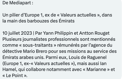 Ian Hamel et Louis de Raguenel accusés d'avoir été payés par les Emirats Arabes Unis