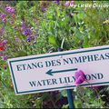 Promenade dans les jardins de Monet à Giverny