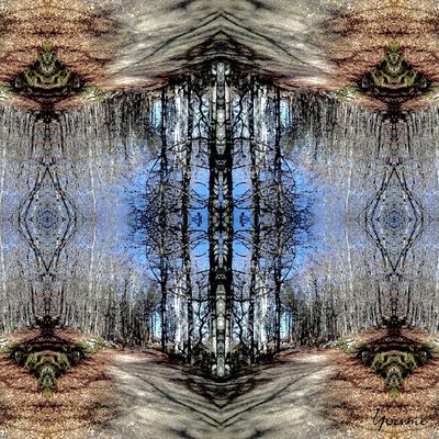 Exposition "L'âme de la forêt"