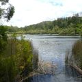 Fraser Island