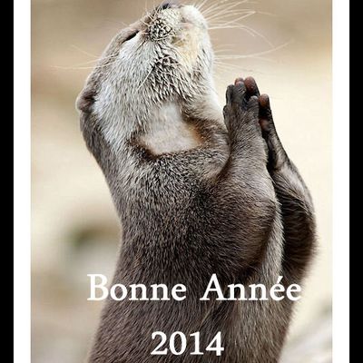 Meilleurs Voeux  à tous !