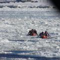 08 fev - Course en canoe sur le St Laurent