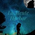 "La meute Harbor : la rencontre" tome 1 d'Audrey SG