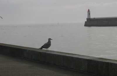 Hymne à la mer... ou à l'amour, c'est selon...