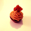 Mini Cupcake speculoos