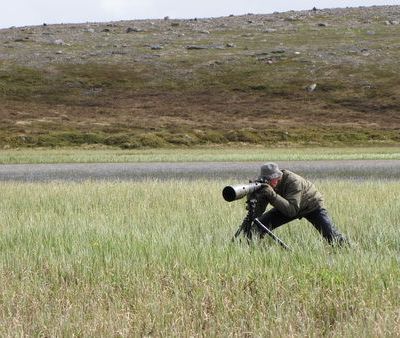 On n'est pas venu pour faire du tourisme, au boulot!