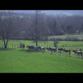 Cyrille, Agriculteur, 30 Ans, 20 Vaches, du Lait, du Beurre, des Dettes (2020) de Rodolphe Marconi