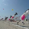 Festival International du cerf-volant de Berck sur Mer (Pas de Calais)