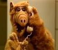 Alf 