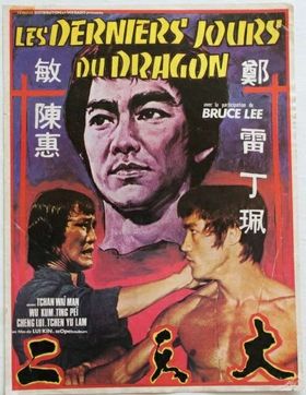 Les derniers jours du dragon (1974)