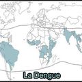 La dengue