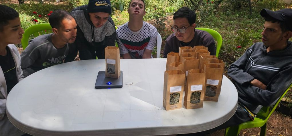 Lundi après-midi 3, mise en sachets de la marjolaine à l'asso. Ourika Tadamoune