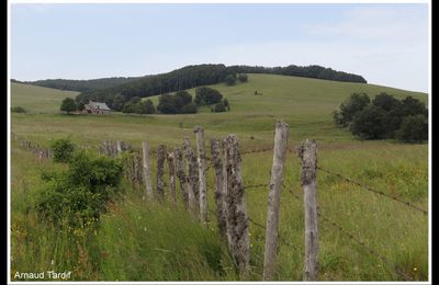 Les grands paysages de l'Aubrac